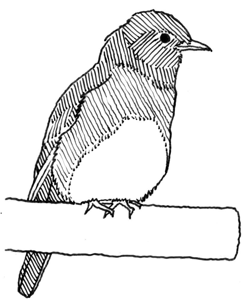 Drawing of a bluebird.