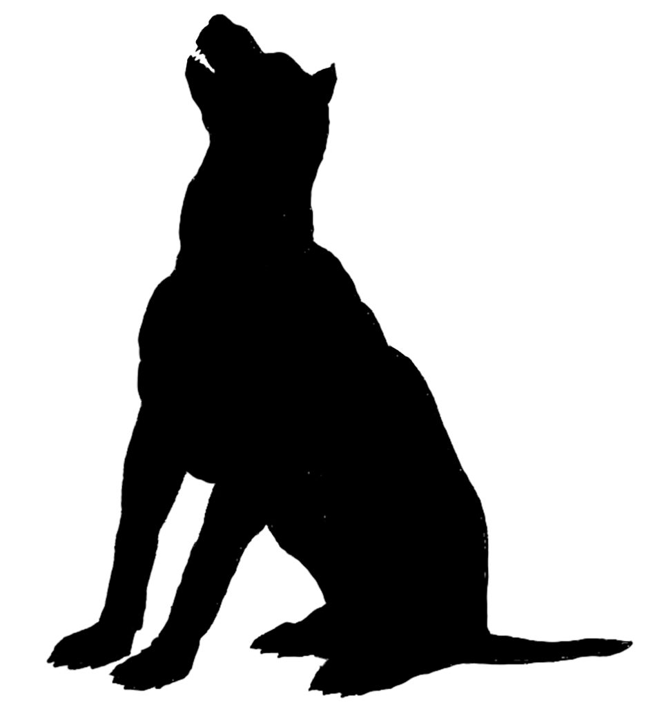 Silhouette of a large dog howling.