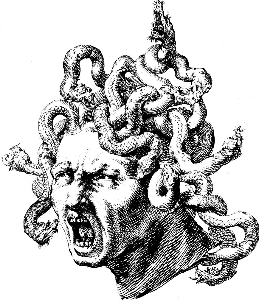 A head with a rage-filled face, and snakes for hair.