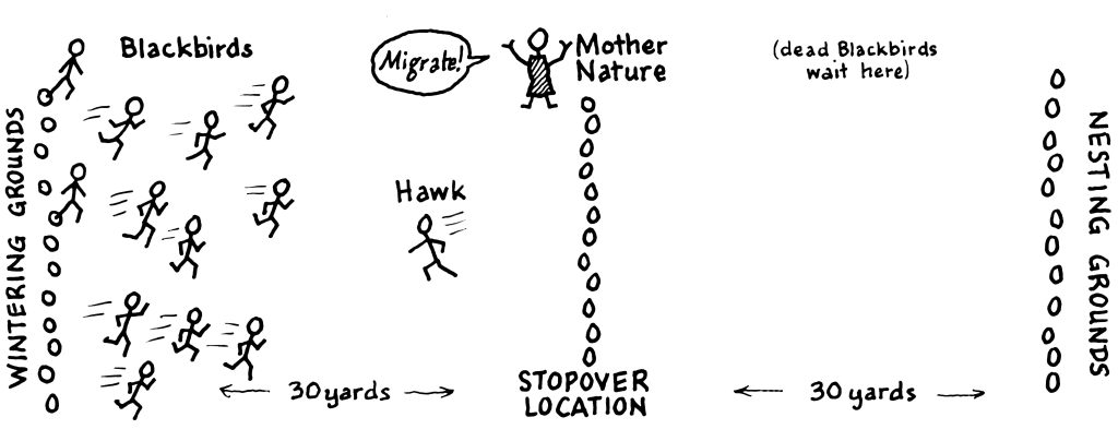 Diagram of the game layout.
