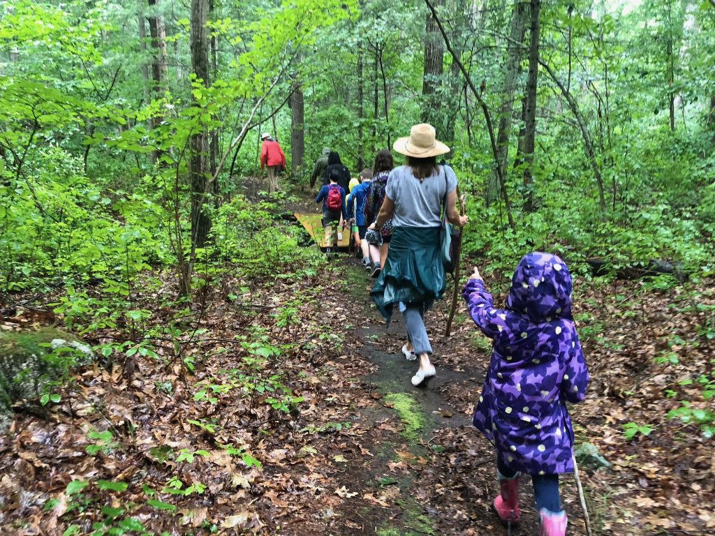 People hiking in the woods.