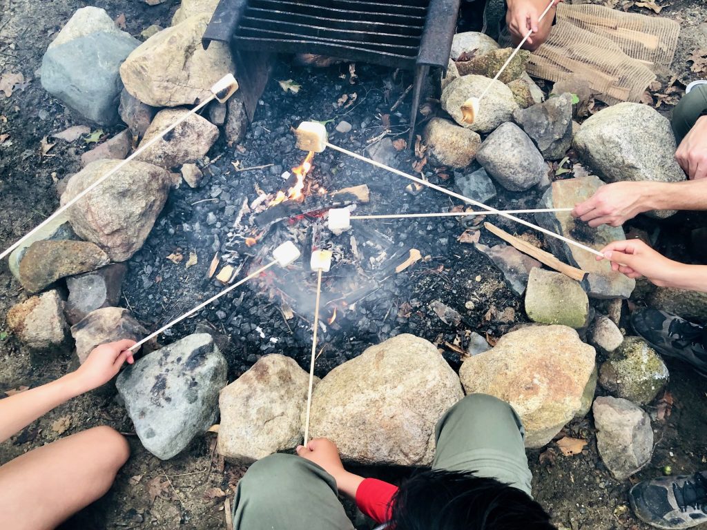People holding marshmallows on sticks over an open fire.